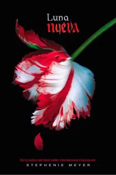 Luna Nueva